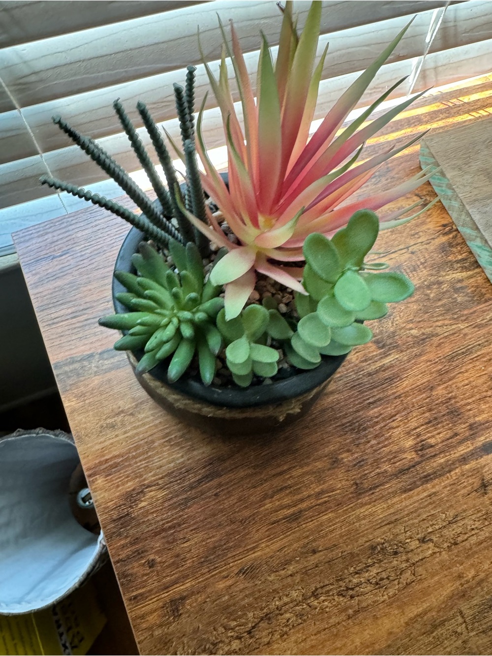 Artificial Succulent Arrangement in Black Rope-Trim Pot - Picture 6 of 6